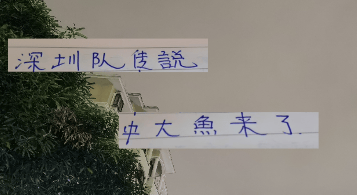 中超第29轮 申花打深圳更加难了！因为他们引进了一个英超射手